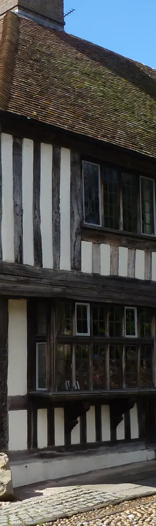 Rye